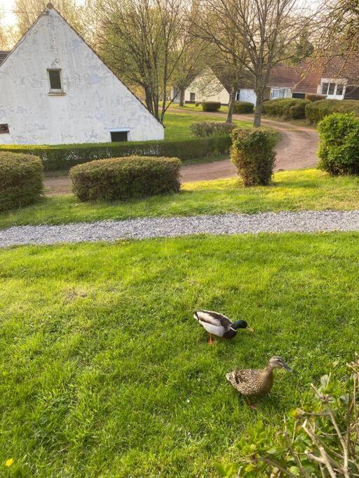 Le Nid Du Cygne Apartman Houlle Kültér fotó